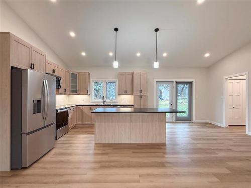 135 Daphne Avenue E, Souris, MB - Indoor Photo Showing Kitchen