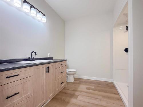 135 Daphne Avenue E, Souris, MB - Indoor Photo Showing Bathroom