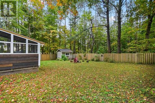large private fenced in yard - 190 Maple Street, Bracebridge (Macaulay), ON - Outdoor