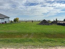 27 Carriere Crescent  Elie, MB R0H 0H0