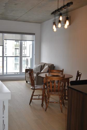 Living room - B-3155 Av. Parkville, Montréal (Mercier/Hochelaga-Maisonneuve), QC - Indoor