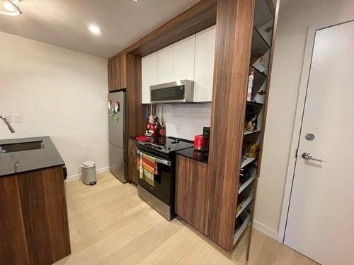 Interior - B-3155 Av. Parkville, Montréal (Mercier/Hochelaga-Maisonneuve), QC - Indoor Photo Showing Kitchen