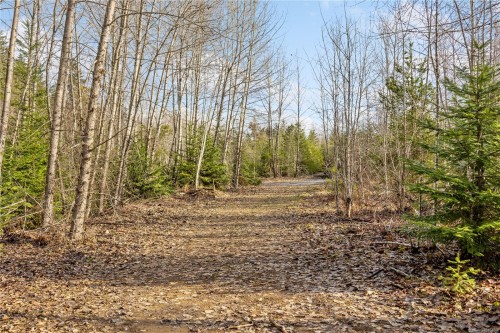 2745 Shaver Rd, Coombs, BC 