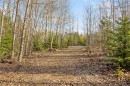 2745 Shaver Rd, Coombs, BC 