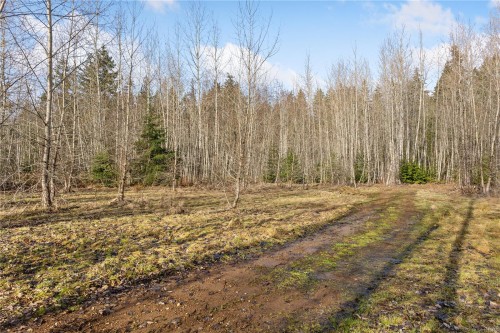 2745 Shaver Rd, Coombs, BC 