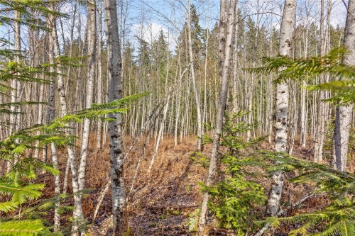 2745 Shaver Rd, Coombs, BC 