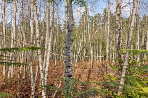 2745 Shaver Rd, Coombs, BC 