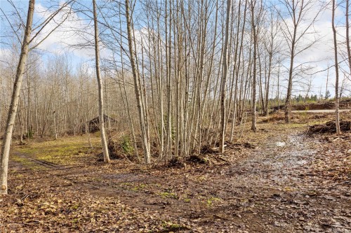 2745 Shaver Rd, Coombs, BC 