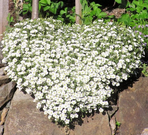 1860 Ashling Rd, Qualicum Beach, BC 