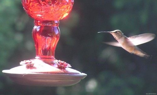 1860 Ashling Rd, Qualicum Beach, BC 