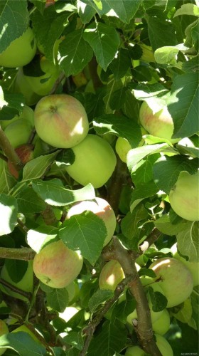 1860 Ashling Rd, Qualicum Beach, BC 