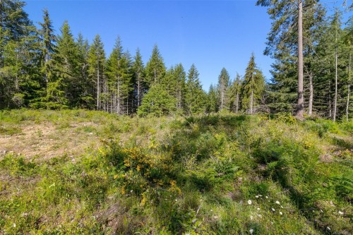 7 Sunrise Rd, Duncan, BC 