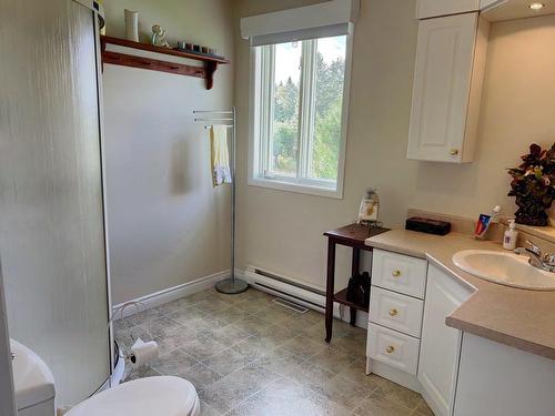 Bathroom - 145 Route Principale, Saint-André-De-Restigouche, QC - Indoor Photo Showing Bathroom