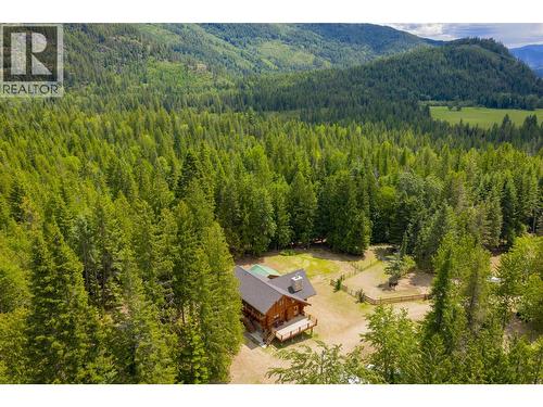 800 Highway 22, Rossland, BC - Outdoor With View
