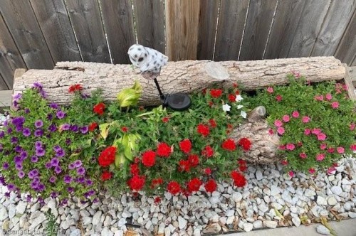 293 Fairfield Avenue, Hamilton, ON - Outdoor