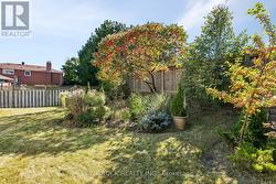 Rear Gardens - 
