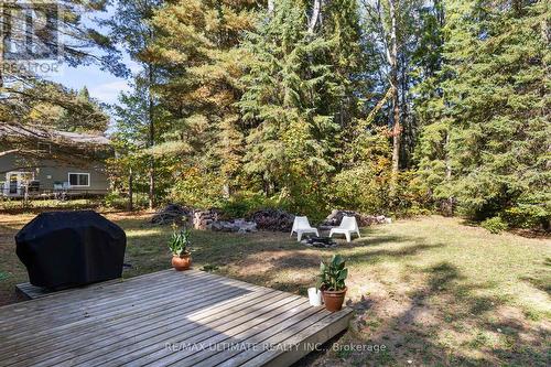 328 Muskoka Rd 10 Road, Huntsville, ON - Outdoor
