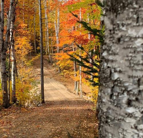 Land/Lot - 9E Rang, Saint-Côme, QC 