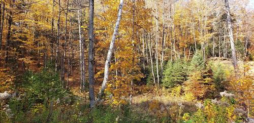 Land/Lot - 9E Rang, Saint-Côme, QC 