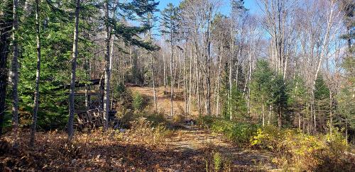 Land/Lot - 9E Rang, Saint-Côme, QC 