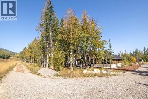 5538 Currie Bowl Way, Fernie, BC - Outdoor With View