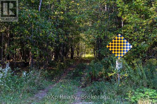 Ne 1/4  Lt 3 Conc 10 Sideroad 3, Georgian Bluffs, ON 