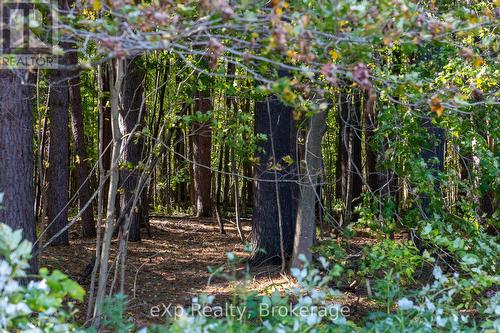 Ne 1/4  Lt 3 Conc 10 Sideroad 3, Georgian Bluffs, ON 