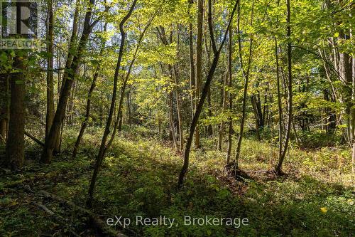 Ne 1/4  Lt 3 Conc 10 Sideroad 3, Georgian Bluffs, ON 