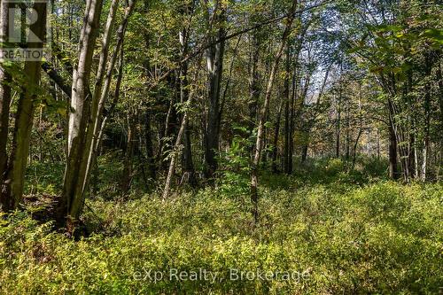 Ne 1/4  Lt 3 Conc 10 Sideroad 3, Georgian Bluffs, ON 