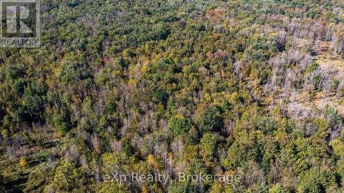 Ne 1/4  Lt 3 Conc 10 Sideroad 3, Georgian Bluffs, ON 