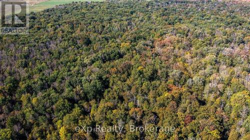 Ne 1/4  Lt 3 Conc 10 Sideroad 3, Georgian Bluffs, ON 