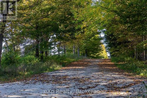 Ne 1/4  Lt 3 Conc 10 Sideroad 3, Georgian Bluffs, ON 