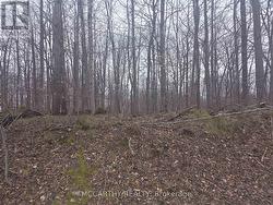 LOT  9 PT LT 25, CON RD 8  West Grey, ON N0C 1H0