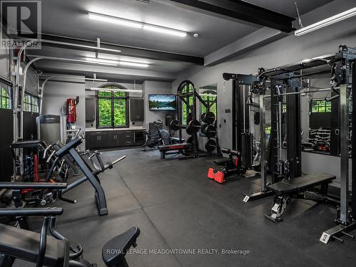 13160 Nassagaweya Esquesing Townline, Milton, ON - Indoor Photo Showing Gym Room