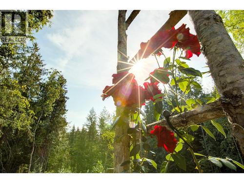 44 Mackenzie Road, Salmon Arm, BC - Outdoor