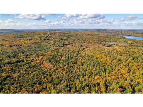 Lot Clatter Rd, Rollingdam, NB 