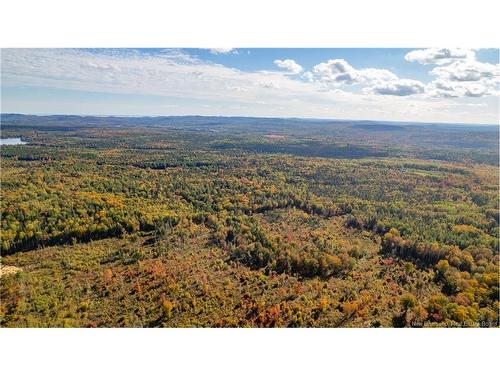 Lot Clatter Rd, Rollingdam, NB 