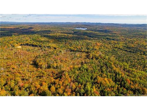 Lot Clatter Rd, Rollingdam, NB 