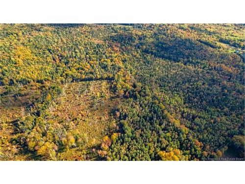 Lot Clatter Rd, Rollingdam, NB 