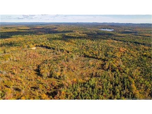 Lot Clatter Rd, Rollingdam, NB 