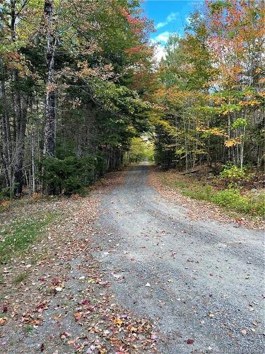 Lot Clatter Rd, Rollingdam, NB 