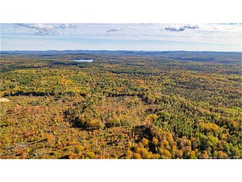 Lot Clatter Rd, Rollingdam, NB 