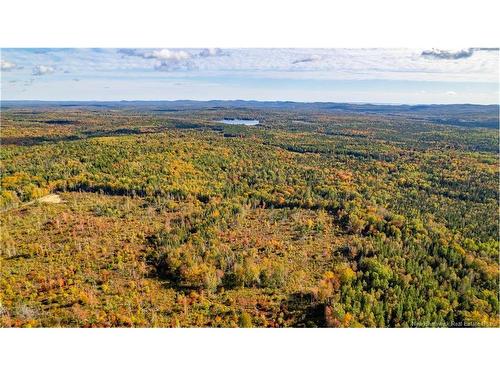 Lot Clatter Rd, Rollingdam, NB 