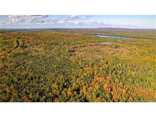 Lot Clatter Rd, Rollingdam, NB 