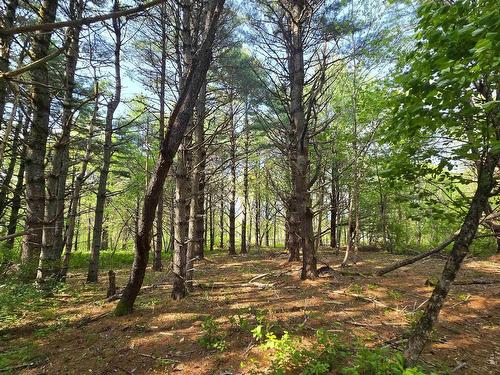 Lot Highway 3, Maders Cove, NS 
