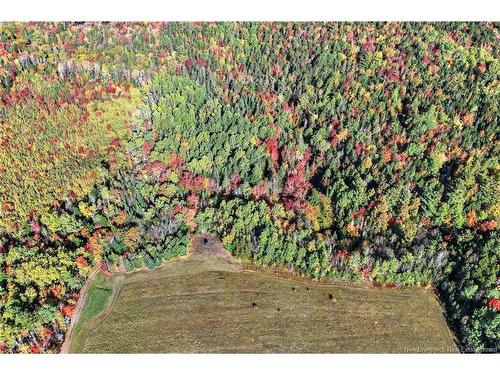 Cottages + Lot Rte 515, Sainte-Marie-De-Kent, NB 