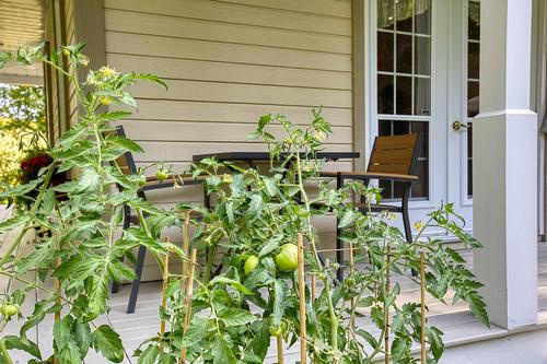 Extérieur - 534 Rue Du Meunier, Sainte-Adèle, QC - Outdoor With Exterior