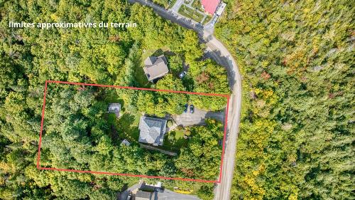 Vue d'ensemble - 534 Rue Du Meunier, Sainte-Adèle, QC - Outdoor