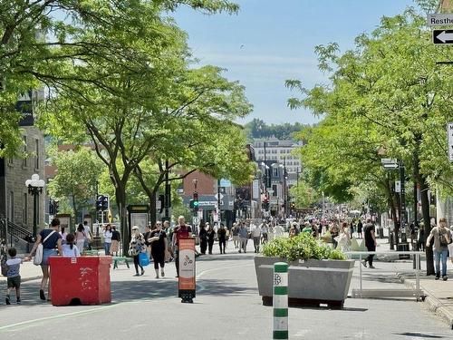 Street - 753 Av. Du Mont-Royal E., Montréal (Le Plateau-Mont-Royal), QC - Outdoor