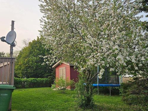 12 Hemlock Drive, Port Hawkesbury, NS 